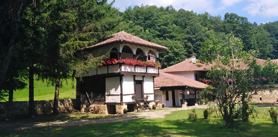 פירוט Odmaraliste Vlasko Zdrelo מראה חיצוני תמונה