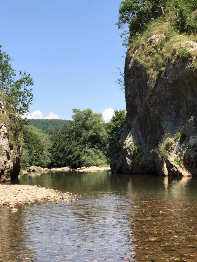 פירוט Odmaraliste Vlasko Zdrelo מראה חיצוני תמונה
