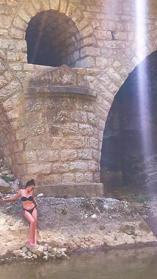 פירוט Odmaraliste Vlasko Zdrelo מראה חיצוני תמונה