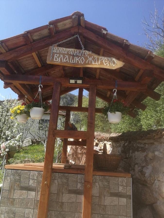 פירוט Odmaraliste Vlasko Zdrelo מראה חיצוני תמונה