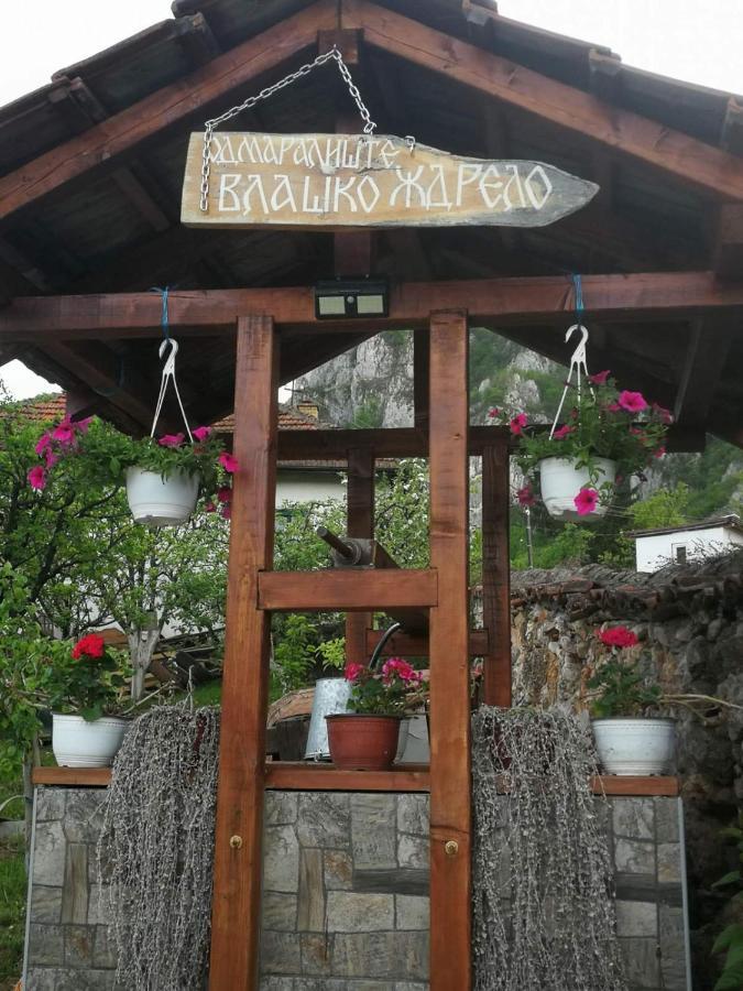 פירוט Odmaraliste Vlasko Zdrelo מראה חיצוני תמונה