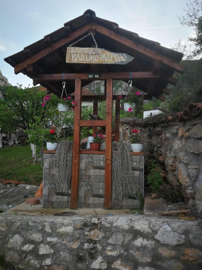 פירוט Odmaraliste Vlasko Zdrelo מראה חיצוני תמונה