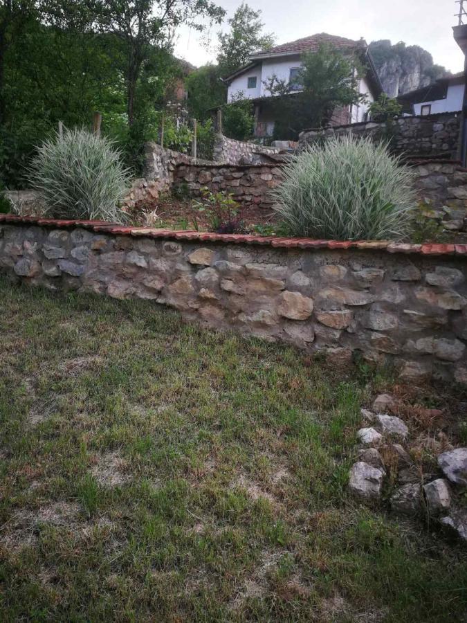 פירוט Odmaraliste Vlasko Zdrelo מראה חיצוני תמונה